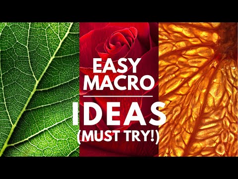 Видео: 5 простых идей макросъемки, которые стоит попробовать прямо сейчас