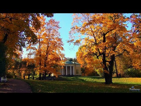 Видео: Царское Село. Екатерининский парк. Осень (2018)