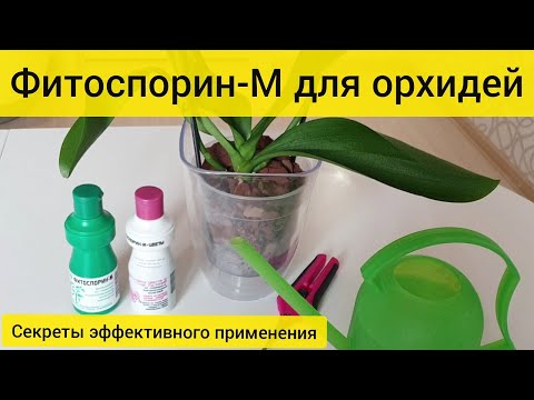 Видео: Фитоспорин для орхидей | Секреты эффективного использования препарата