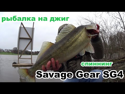 Видео: судаки и мой новый спиннинг. Savage Gear SG4 12-35. много воды всегда хорошо. #рыбалканаджиг