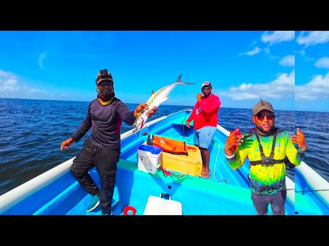 Видео: Каждый день — это рыбалка, а не ловля, НО! ловить | чистить | готовить #ТринидадИТобаго