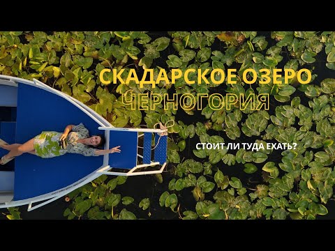 Видео: Жемчужина Черногории. 🇲🇪Почему туристу нельзя пропустить посещение Скадарского озера? 