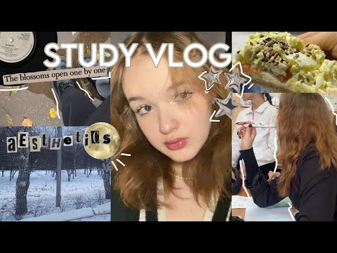 Видео: study VLOG // одноклассники, учёба, завтрак, последняя неделя в четверти, дежурный класс, снег