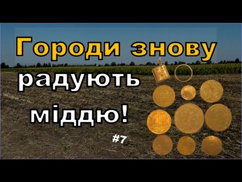 Видео: Городи знову радують міддю! Царські монети з поля