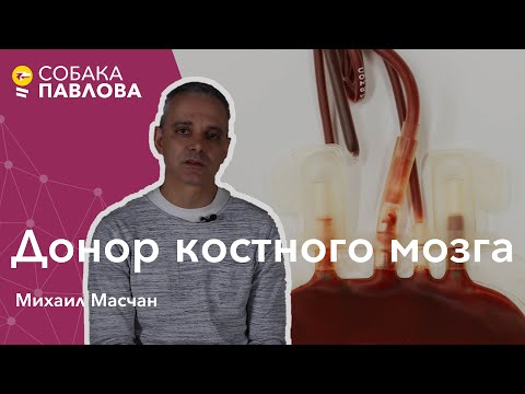 Видео: Донор костного мозга -Михаил Масчан//тканевая совместимость, типирование клеток, неродственный донор