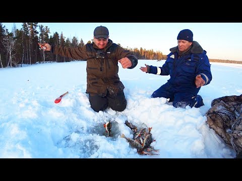 Видео: Рыбалка на озере! Как Ловить Окуня на Мухо-Мормыш! Озеро "Безымянное"