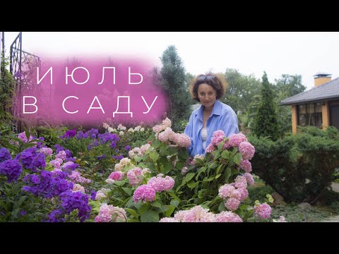 Видео: Июль в Саду I Сад Людмилы Кудасовой