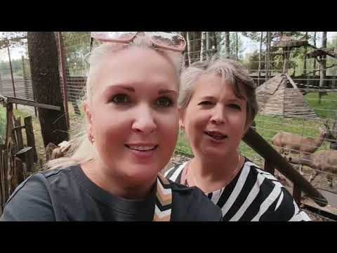Видео: #3 Парк животных г.Барановичи🇧🇾|в шоке|зона ЛЯСНЫЕ ТАЯМНIЦЫ #обзор #travel #топ #vlog #top #беларусь