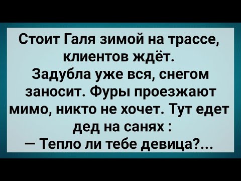 Видео: Как Галя Зимой На Трассе Задубла! Сборник Свежих Анекдотов! Юмор!.