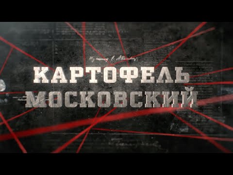 Видео: Картофель московский | Вещдок