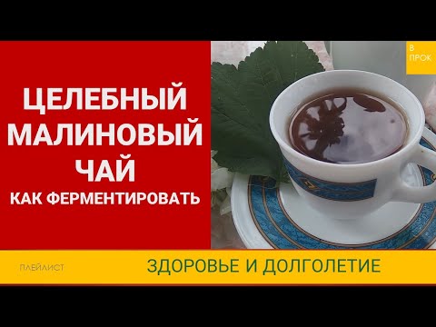 Видео: Как правильно приготовить ферментированный малиновый чай
