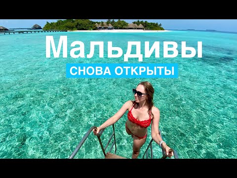 Видео: МАЛЬДИВЫ: 5* DUSIT THANI и манты в Ханифару Бэй