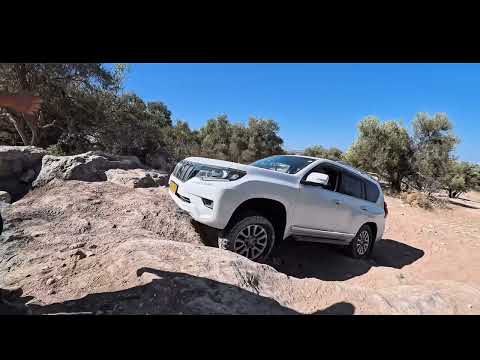 Видео: Сумасшедший off-road