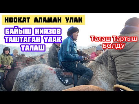 Видео: Байыш Ниязов таштаган ТАЙ ТАЛАШ Болду 21_12_2022.