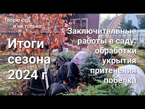 Видео: Творю сад. 10.11.2024. Заключительные работы в саду и подведение итогов сезона 2024г.