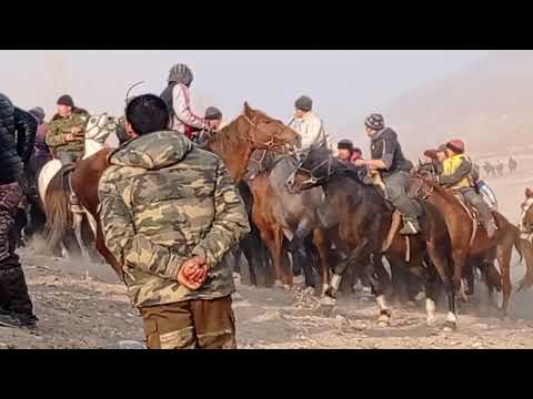 Видео: Лейлек р н Минг Жыгачда улак Аваз чавандаз👍