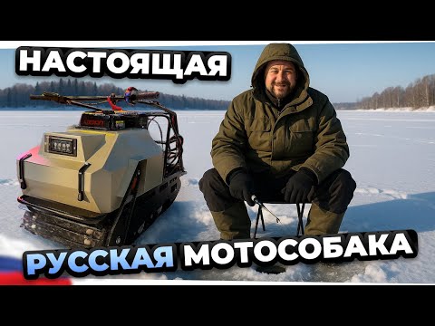Видео: IceDog 500 Lux - ОБЗОР универсального мотобуксировщика. Стоит ли брать?