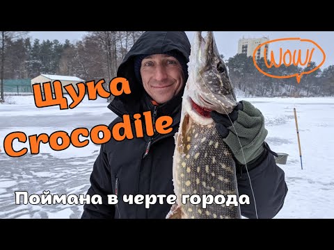 Видео: Гигантская щука в черте города! Зимняя жерлица Monster Pike Caught in the City! Epic Ice Fishing!