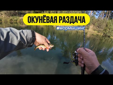 Видео: #мормышинг | Этот карьер набит окунями | Окуневый жор |