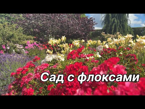 Видео: Палитра лета: цветущий сад флоксов в Парке Садов 🌿 Bad Zwischenahn 🌿Ароматы и краски 🌿