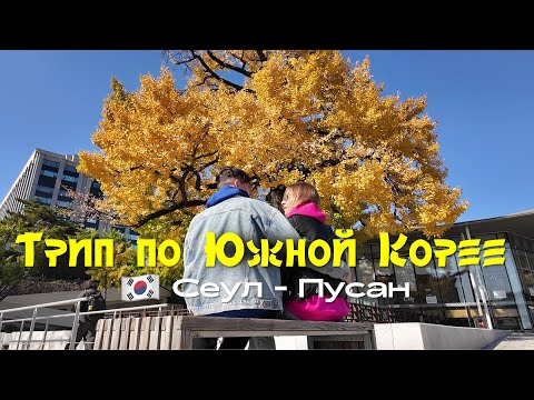Видео: 🥢 Трип по ЮЖНОЙ КОРЕЕ. СЕУЛ — ПУСАН. Когда лететь, чтобы было хорошо?