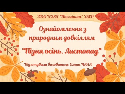 Видео: Ознайомлення з природним довкіллям "Пізня осінь. Листопад".