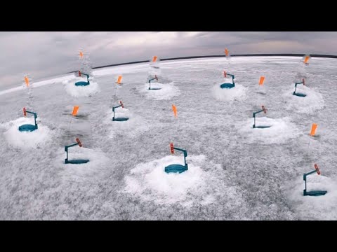 Видео: ЖЕРЛИЦЫ 2023! СУДАК на ЖЕРЛИЦЫ!!! Я это СДЕЛАЛ!!! Ловля СУДАКА на жерлицы и ратлины. Сезон ЗАКРЫЛ!