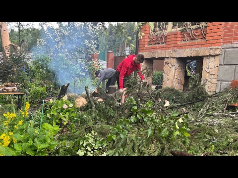 Видео: Ураган в Подмосковье. Мой сад завален поваленными деревьями