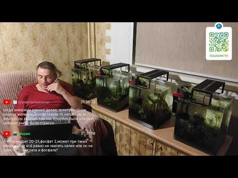 Видео: Ненаучный аквастрим 21 сентября 2025 г.