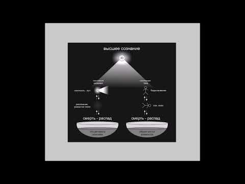 Видео: разговор о перерождении