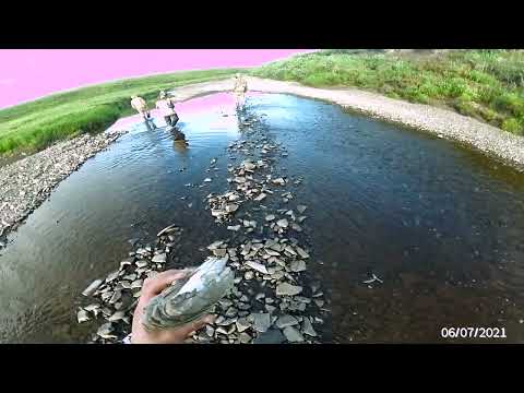 Видео: 1-ый день в тундре, осмотр местности, знакомство с речкой.