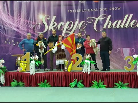 Видео: Документарен филм „По 8000 години“