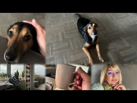 Видео: Мое утро с питомцами 🐕‍🦺🐕Вчера была весь день в клинике 😣все обследование 🤷‍♀️