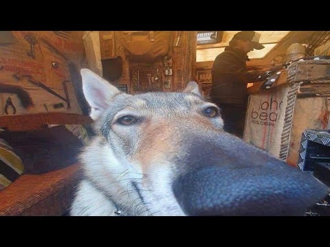 Видео: Настройки подсознания. Уютный подкаст "У камина"
