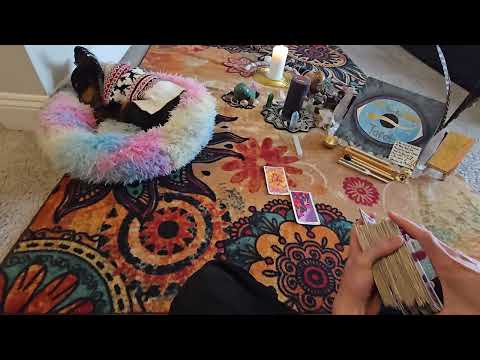 Видео: Ты духовный ублюдок. Они этого не знали.