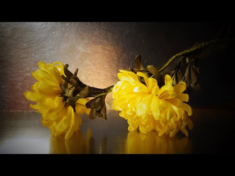 Видео: ХРИЗАНТЕМЫ из лент (мастер-класс), КАНЗАШИ,/ DIY ORGANZA Kanzashi