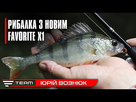 Видео: Новий Favorite X1. Спінінгова ловля окуня та щуки на малих річках літом.