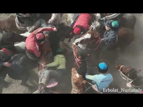 Видео: 23.02.25 Қазығұрт ауданы Қақпақ ауылы Ақтайұлы Бақдәулет мырзаның елден бата алу көкпар тойы