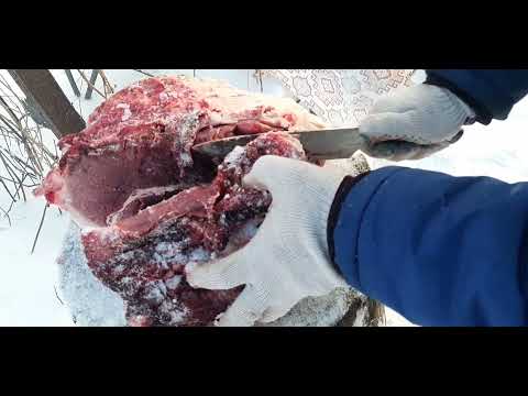 Видео: Венгерская мангалица мясо с горохом