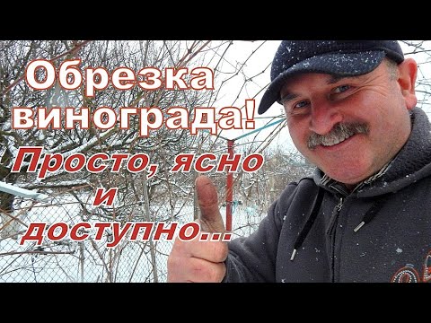 Видео: ОБРЕЗКА ВИНОГРАДА.Просто и ясно каждому. Классический вариант.