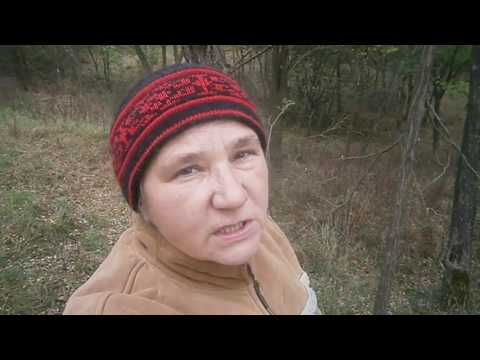 Видео: Содержание козла