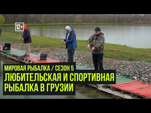 Видео: Любительская и спортивная рыбалка в Грузии / Мировая рыбалка #5 / #14