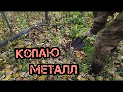 Видео: Копаю металл МД 4030