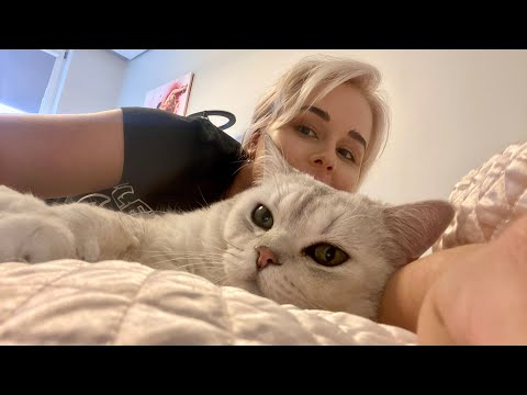 Видео: Натуральное питание для кошек/Рецепт микса из индейки