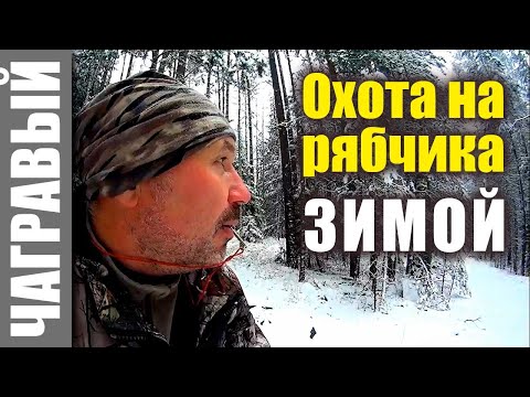 Видео: Охота на рябчика зимой | НЮАНСЫ