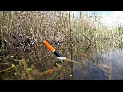Видео: В ДЕБРЯХ КАМЫША КРУПНЫЕ ЛИНИ И КАРАСИ ОДИН ЗА ОДНИМ НА ПОПЛОВОЧНУЮ УДОЧКУ! Рыбалка на удочку весной