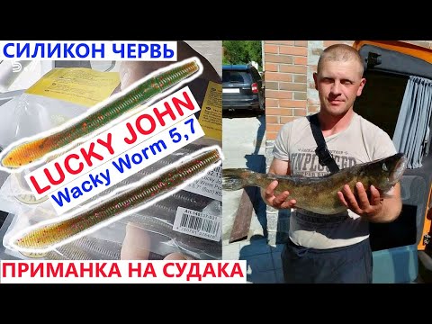 Видео: Уловистая приманка на Судака.Силикон Lucky John червь Wacky Worm 5,7.#Рыбалка