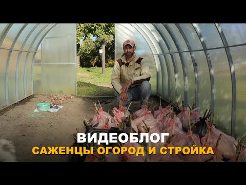 Видео: ВИДЕОБЛОГ: И В САДУ И В ОГОРОДЕ.Что сделано, а что еще предстоит   сделать в осенний период.