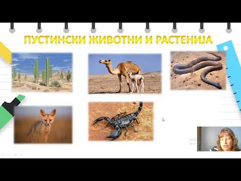 Видео: VI одделение - Природни науки - Адаптација и камуфлажа