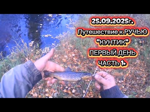 Видео: ФОРЕЛЬ. ПУТЕШЕСТВИЕ К РУЧЬЮ "КУНТИК". ПОКЛЕВКА ЗА ПОКЛЕВКОЙ. #форель #recommended #fishing #рыбалка